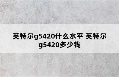 英特尔g5420什么水平 英特尔g5420多少钱